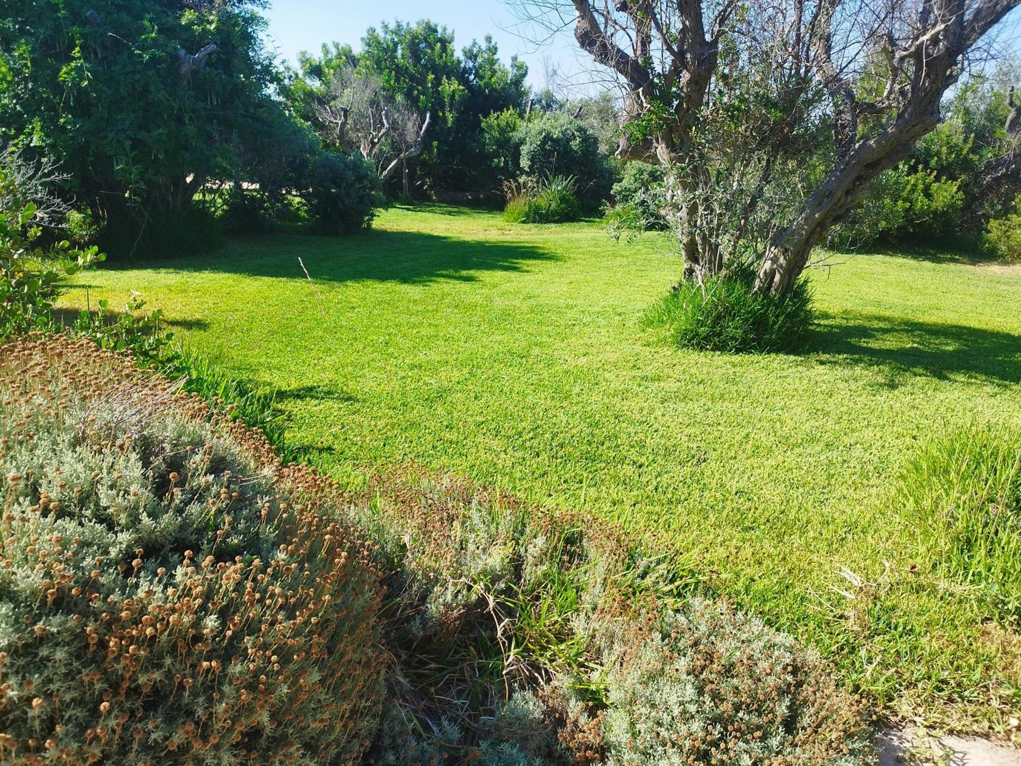 Rizzorelax B&B Io Mammata E Tu Capilungo Bagian luar foto